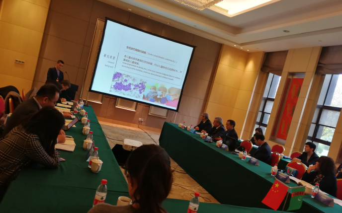 儿童病院专家参加中土科学创新论坛