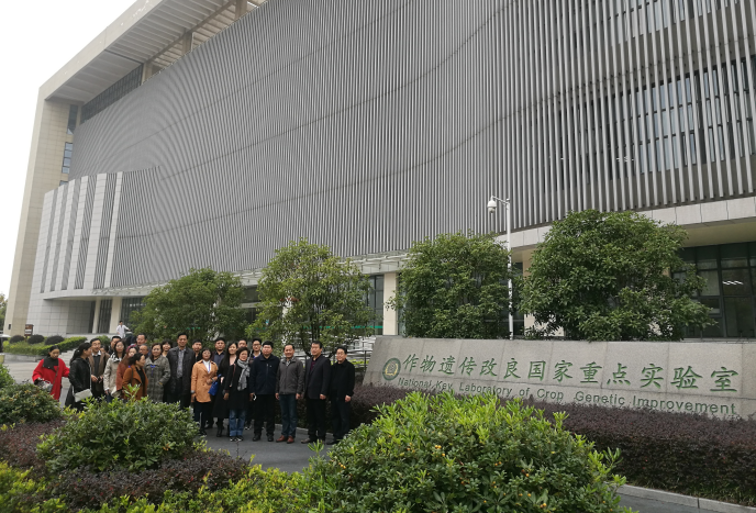 儿童病院专家参加中土科学创新论坛